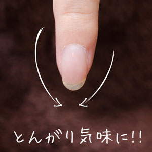 爪の形を整える