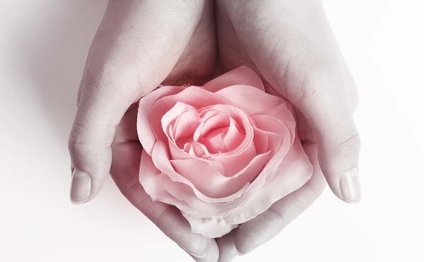 手に持った薔薇の花