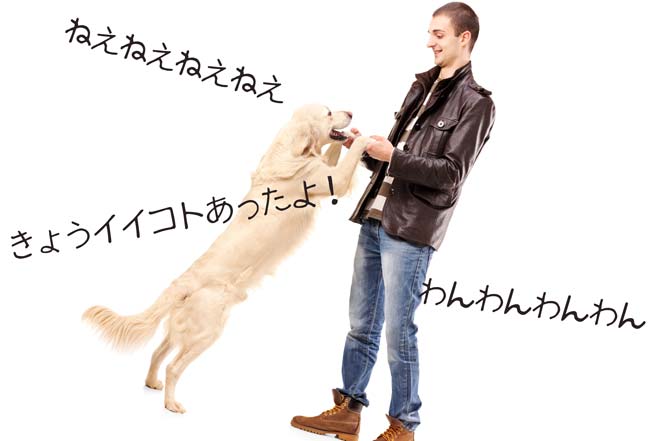 喜ぶテンションが高い犬のような女性が好き