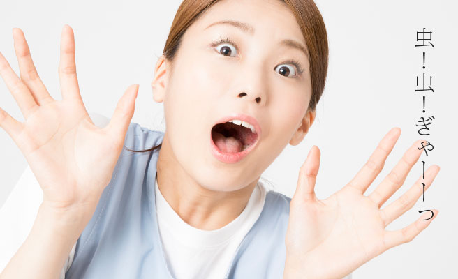どよく隙がある