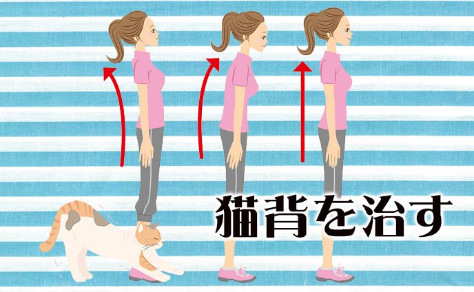 猫背を治す方法6つ正しい姿勢を身につける矯正ストレッチ