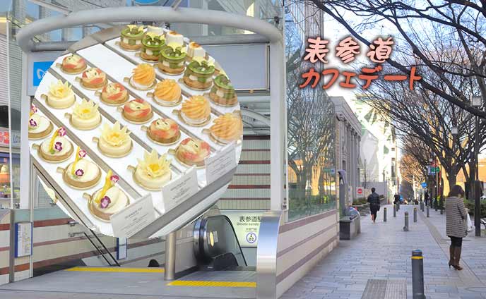 表参道カフェ6選ランチにも休憩にも使えるおしゃれカフェ