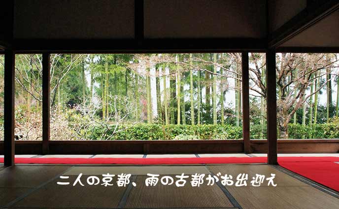 京都の雨をデートで楽しむ☆大人なデートスポット10選