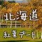 北海道の紅葉デート絶景スポット11選：恋が深まる過ごし方と相性診断つき