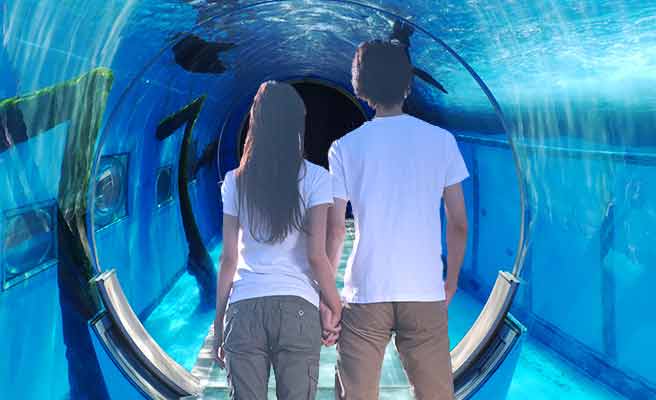水族館の水中回廊を歩くカップル