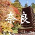 奈良の紅葉穴場スポット11選・のんびり紅葉狩りデート