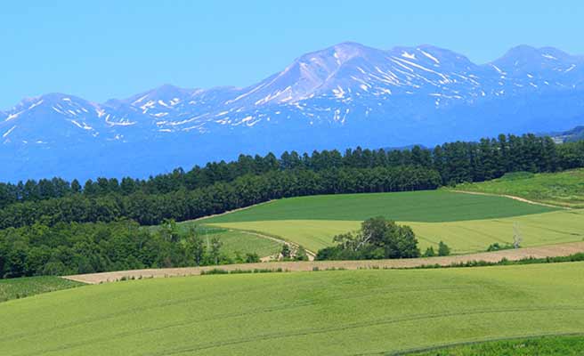 北海道美瑛の丘陵と背景の十勝連峰