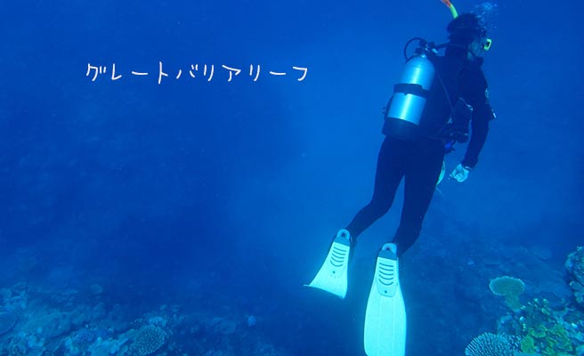グレートバリアリーフの海でダイビング