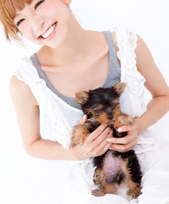 小型犬を抱く女性