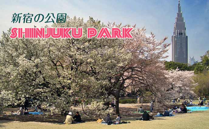 新宿の公園おすすめ・散歩デートにぴったりの人気スポット