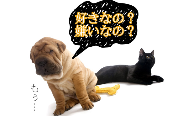 好き避けと嫌い避けの見分け方3パターン