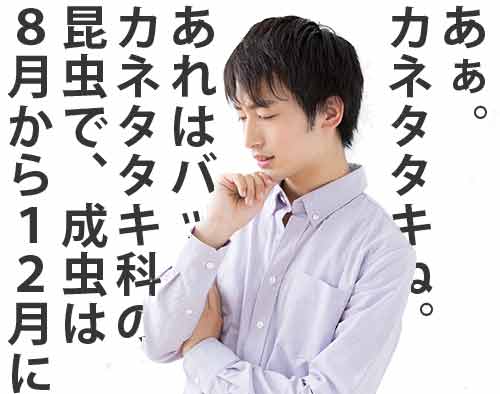 熱く語る理系男子