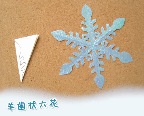 羊歯状六花
